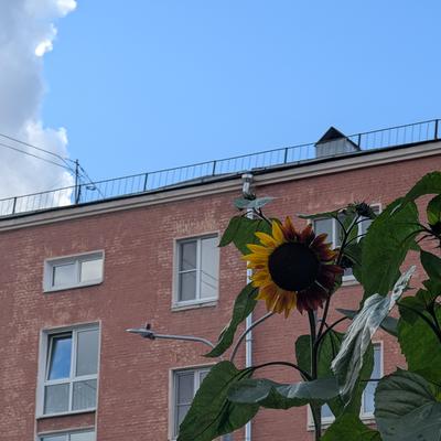 Превью