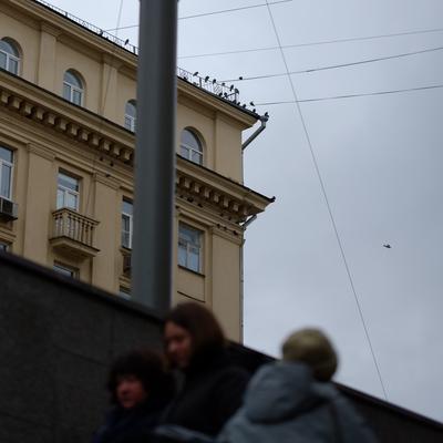 Превью