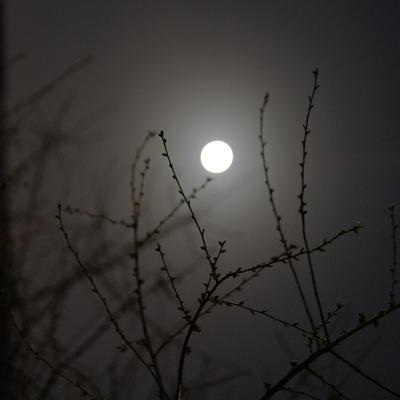Превью