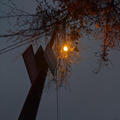 Превью